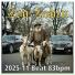 Zed Zodin