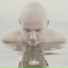 Андрей Белецкий (Anree)