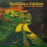 David Lance Callahan