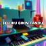 DJ ERUL ID