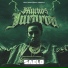 Saelo