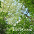 Feel Good Lab