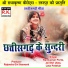 Ramkumar Porte, Jai Shri Ukey, Lata Patekar