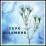 Cupo