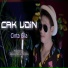 Cak Udin