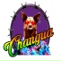 Changua