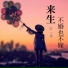 QL一星