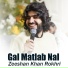 Zeeshan Khan Rokhri