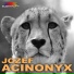 Jozef