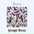 Groupe Korus