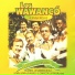 Los Wawancó feat. Hernán Rojas
