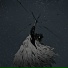 Static Spectrum