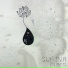 Surina