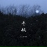 pro, 杨洁茜