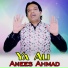 Anees Ahmad