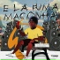 mc s10, Mc Bob Grau, dj gb do dick