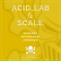 Acid Lab, Scale