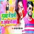 Om Tiger Rohit Yadav