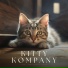 Calm Cat Music