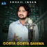 Sohail Imran