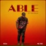 Skie Music