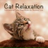 RelaxMyCat, Cat Music Dreams, Cat Music Therapy