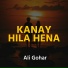 Ali Gohar