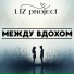 LIZ project