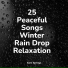 Rain Man Sounds, Dr. Meditation, Wave Sound Group