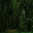 Study Music, Relaxed Minds, Relaxing Nature Music
