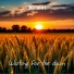 DENIAN