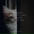 Cat Music Therapy, Music For Cats TA, RelaxMyCat