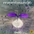 membran 66