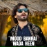 Aamir Niazi