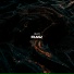 BLVO