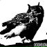 Unknownl337