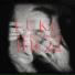 L.u.k.l., Steelyvibes