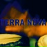 Megadrums