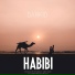 darkid