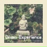 Relaxing Spa Music Master, Lullabies & Lullabies