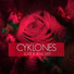 Cyklones