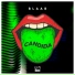 BLAAB