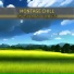 Montage Chill