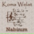 Koma Welat