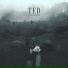 TED