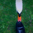 Morten Vammen