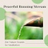 125 Nature Sounds