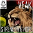 Veak