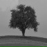 r3wind
