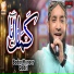 Badar Muneer Qadri